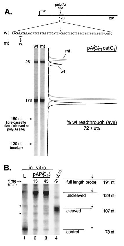 FIG. 7