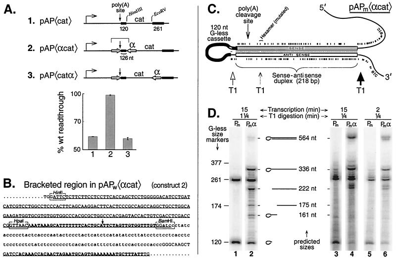 FIG. 6