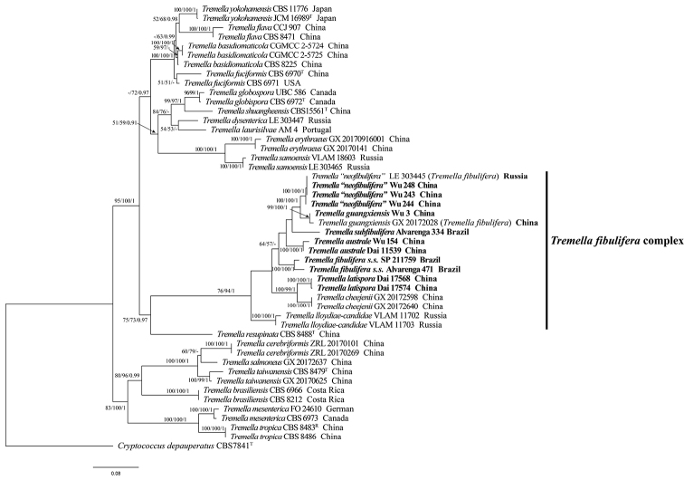 Figure 2.