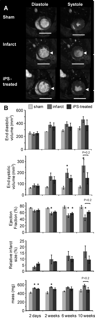 FIG. 3.