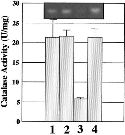 FIG. 9