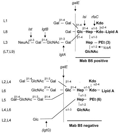 FIG. 1