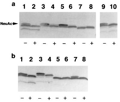 FIG. 6