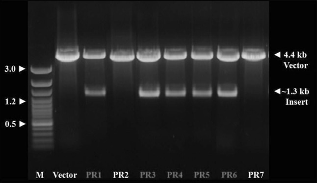 Fig. 3
