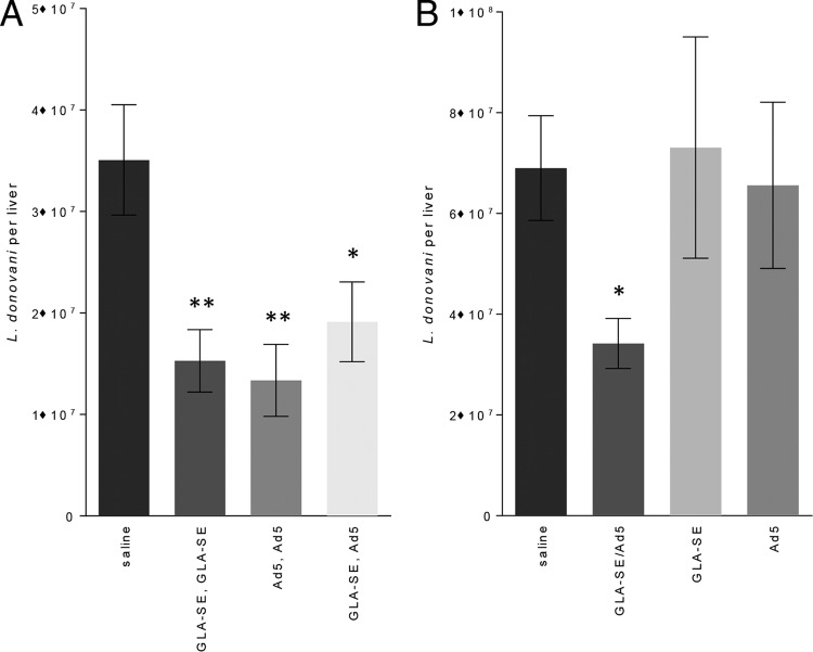 FIG 6