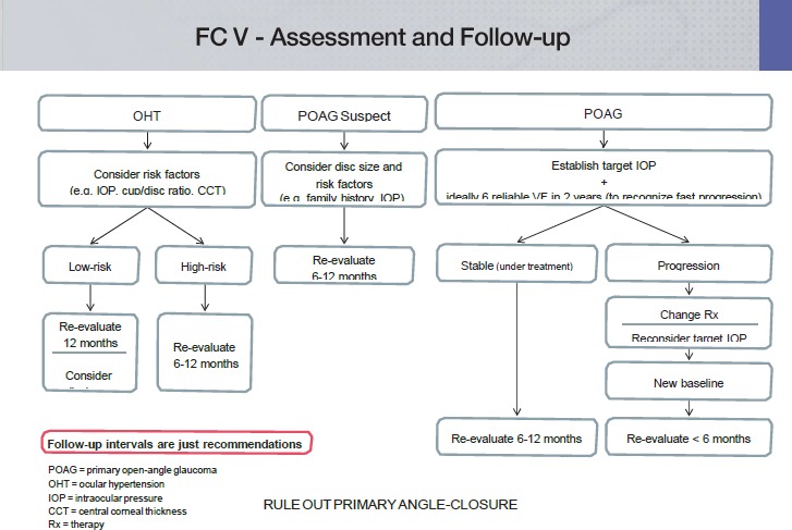 graphic file with name bjophthalmol-2016-EGSguideline.003uf01.jpg