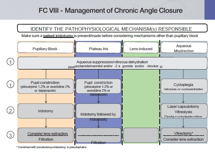 graphic file with name bjophthalmol-2016-EGSguideline.003uf04.jpg