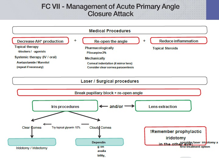 graphic file with name bjophthalmol-2016-EGSguideline.003uf03.jpg