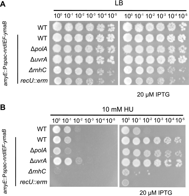 FIG 6