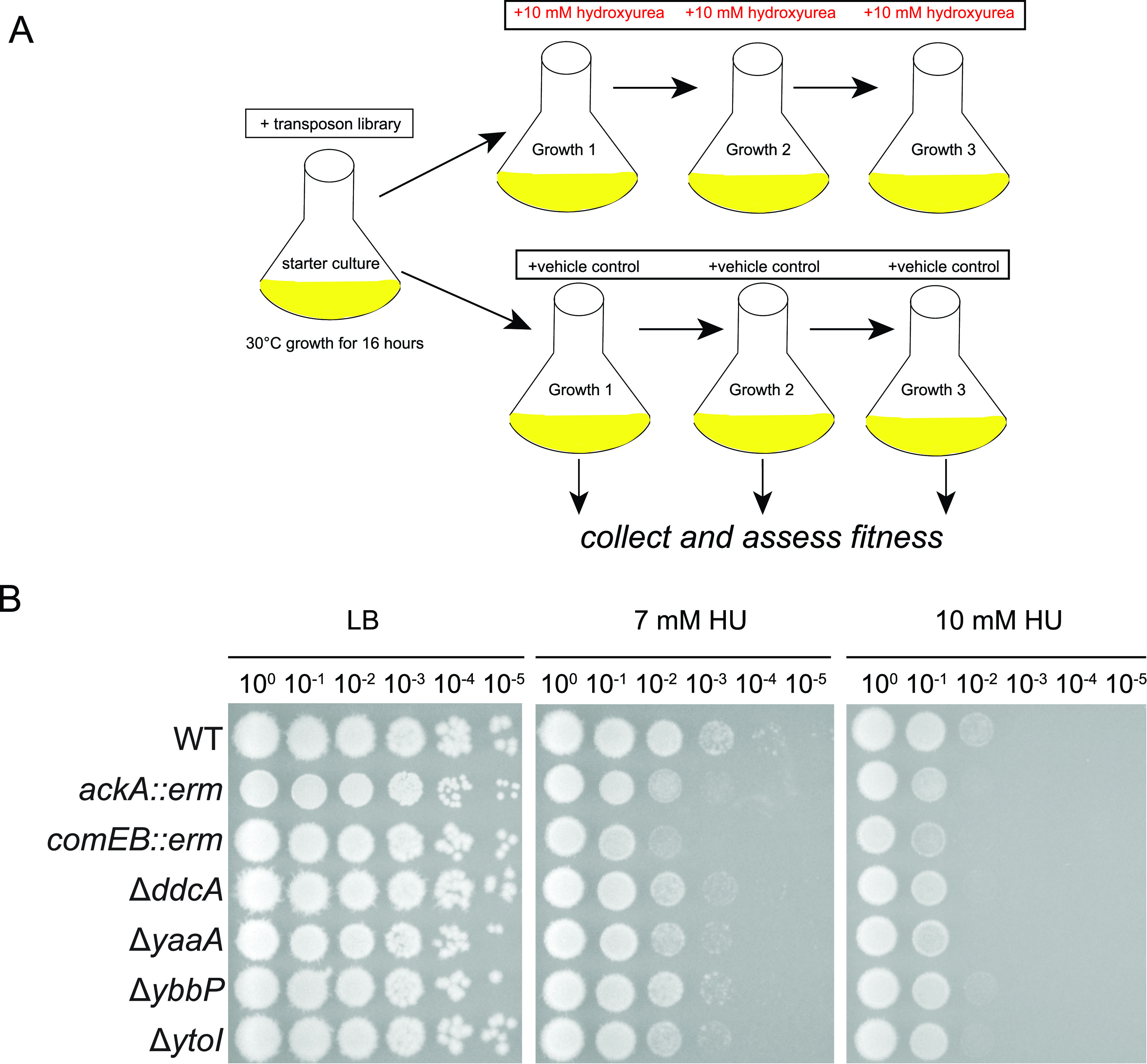 FIG 3