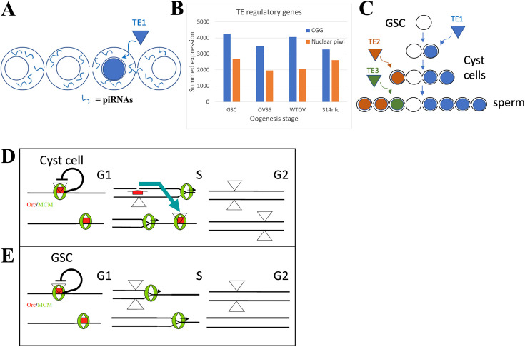 Figure 6.