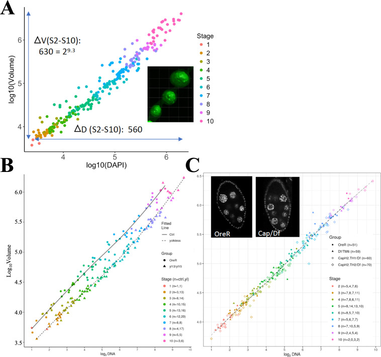 Figure 1—figure supplement 2.