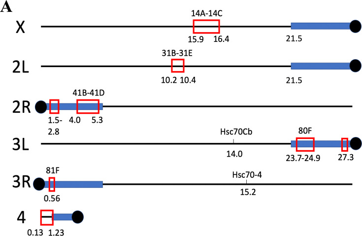 Figure 4—figure supplement 1.