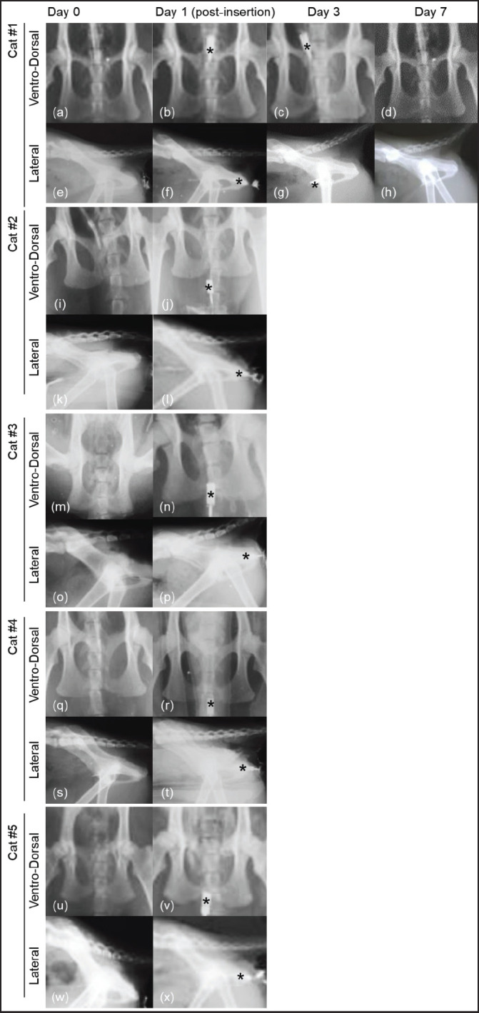 Fig. 4.