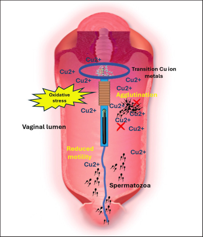 Fig. 7.