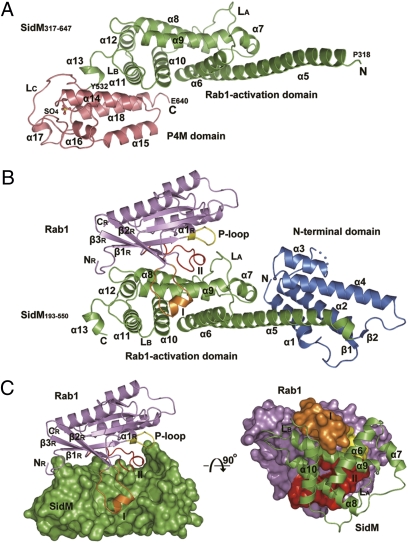 Fig. 1.