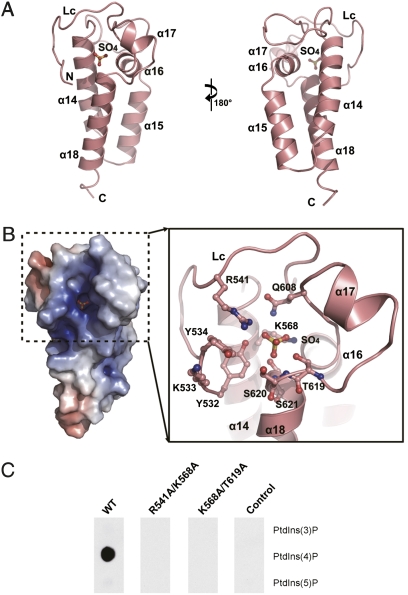 Fig. 2.