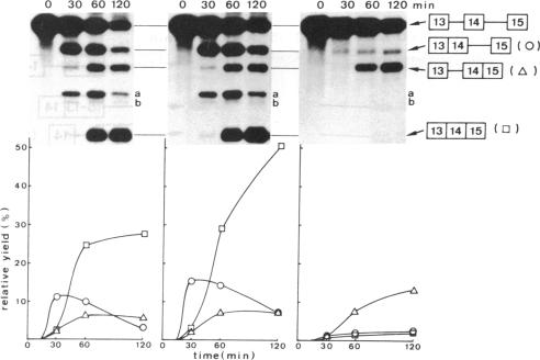 graphic file with name pnas00330-0111-a.jpg