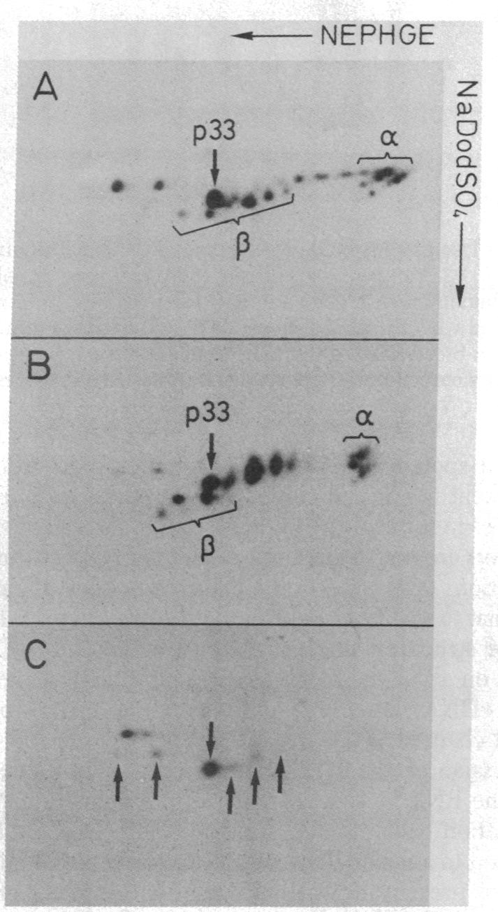 graphic file with name pnas00644-0268-a.jpg