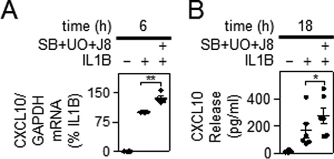 FIGURE 11.