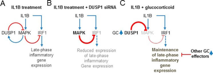 FIGURE 12.