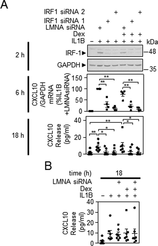 FIGURE 9.