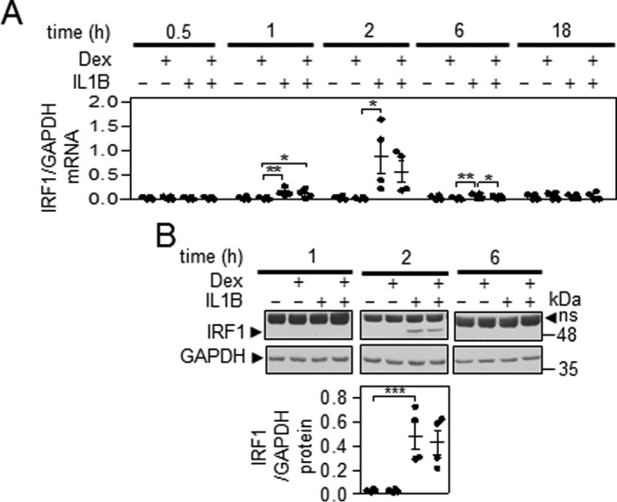 FIGURE 7.