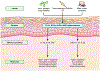Figure 2: