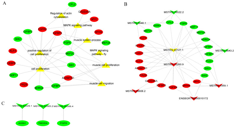 Figure 6