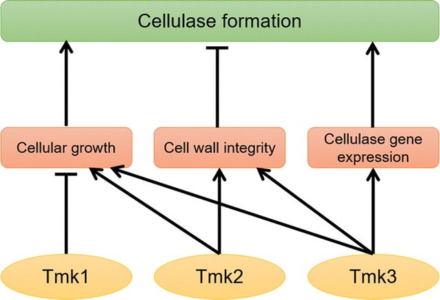 Fig. 9