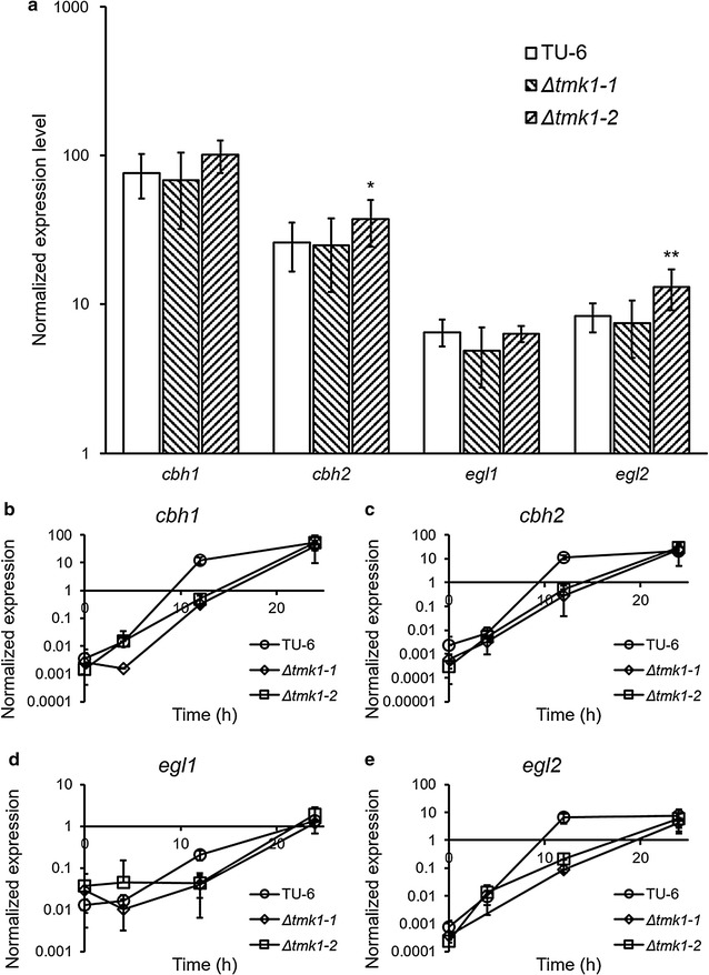 Fig. 4