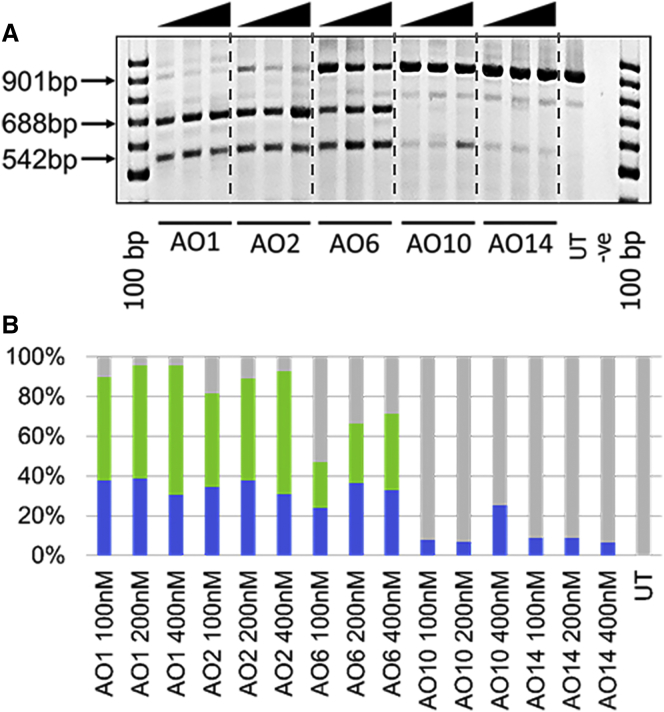 Figure 2