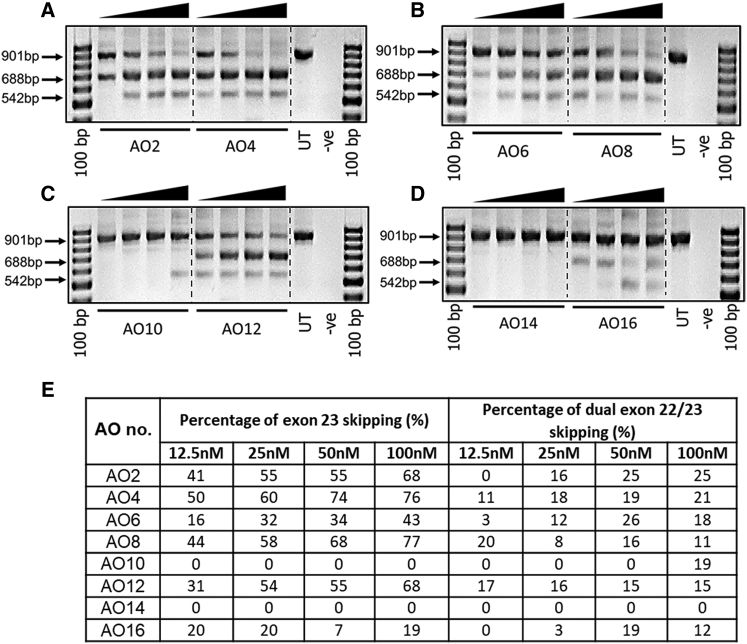 Figure 4