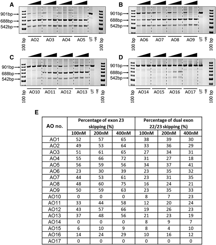 Figure 3