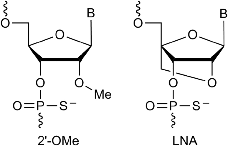 Figure 1