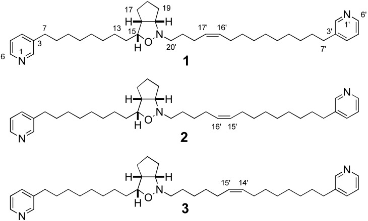 graphic file with name molecules-10-00312-i001.jpg