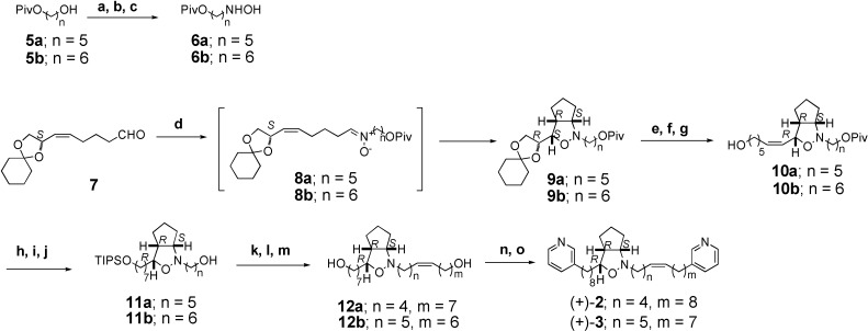 Scheme 1