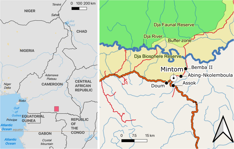 Fig. 1