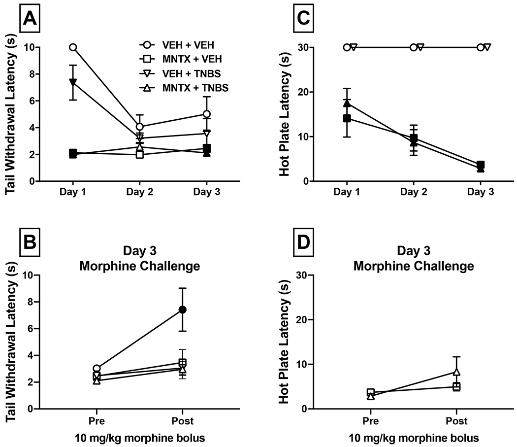 Figure 2: