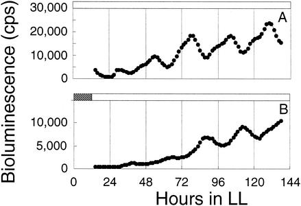 FIG. 6.