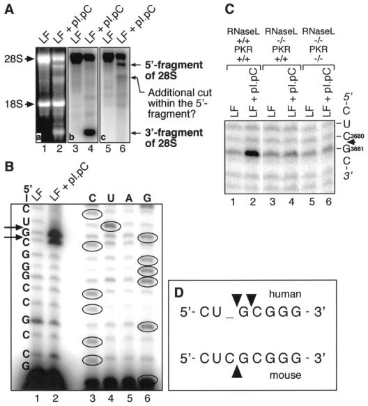 FIG. 8