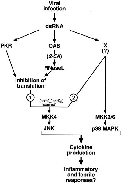 FIG. 9