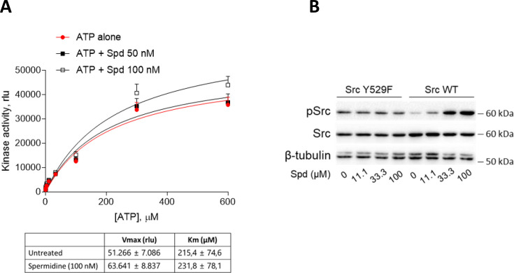 Figure 1—figure supplement 1.