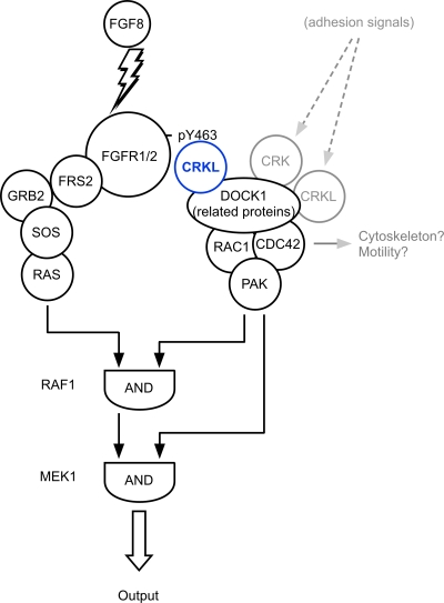 FIG. 8.