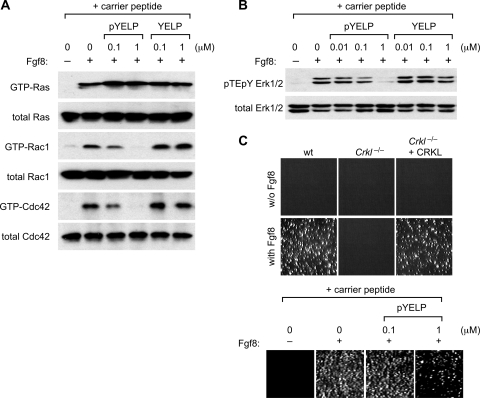 FIG. 7.