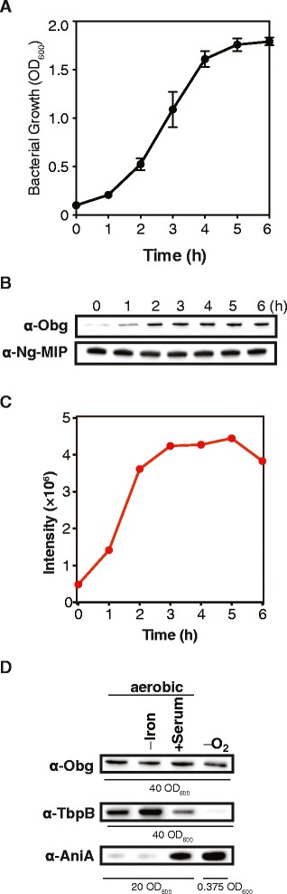 Fig. 5