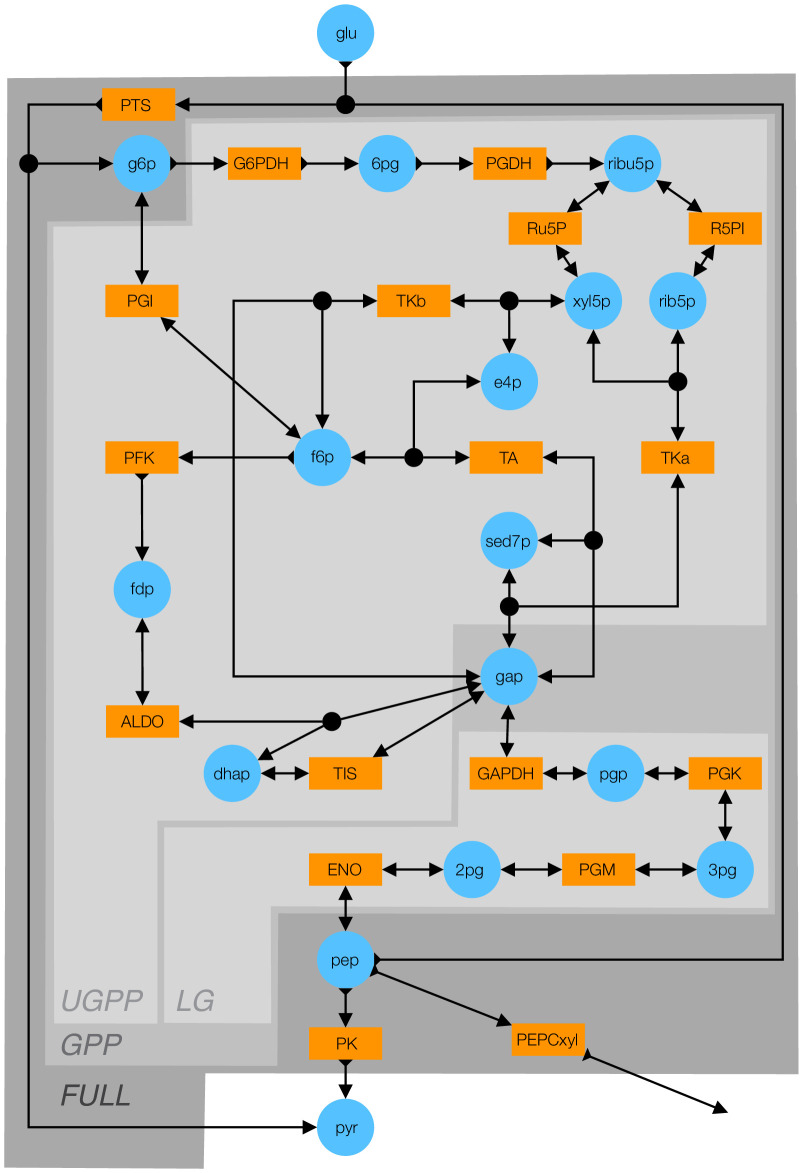 Figure 5—figure supplement 1.