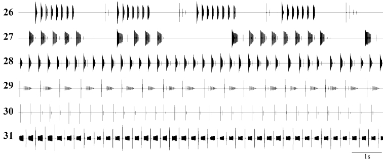 Figures 26–31.