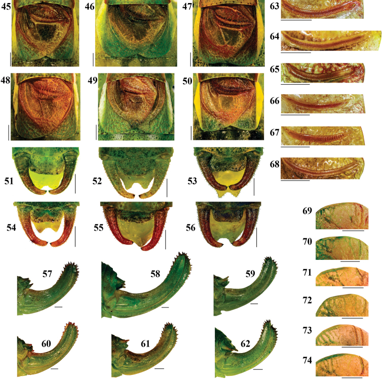 Figures 45–74.