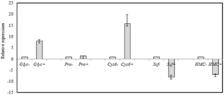 Figure 7